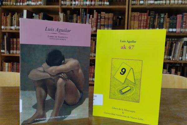 Títulos disponibles en la Sala de Historia y en la Sala de Literatura.