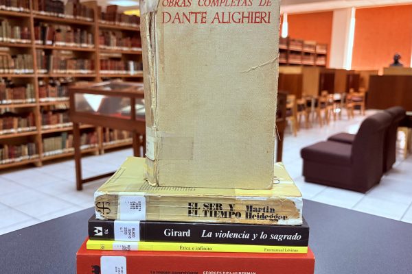 El horizonte ciego: la literatura como punto focal sobre lo no-visible