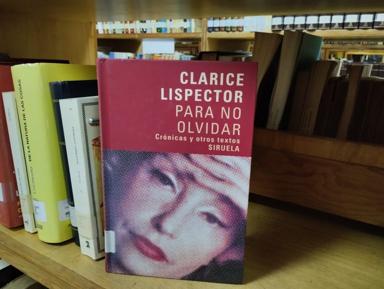 Perforar la realidad: La reconstrucción imaginaria de la realidad en las crónicas periodísticas de Clarice Lispector