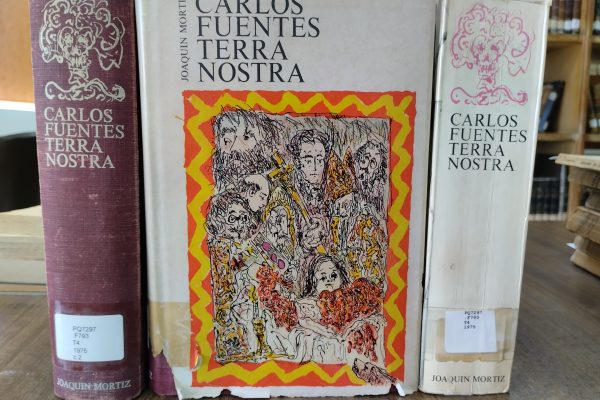 Increíble el primer novelista que soñó con la novela total