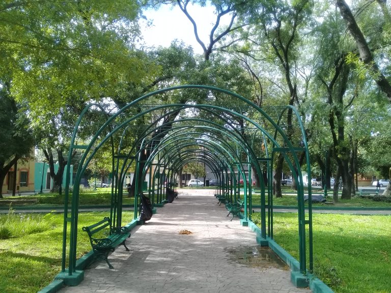 La poética de los árboles